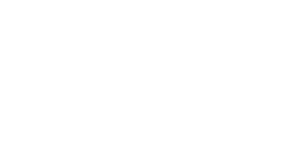 스마트 월렛 logo